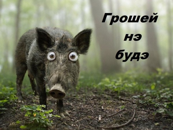 Понедельник юмор