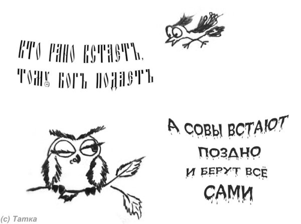 Смешные надписи на картинках совы