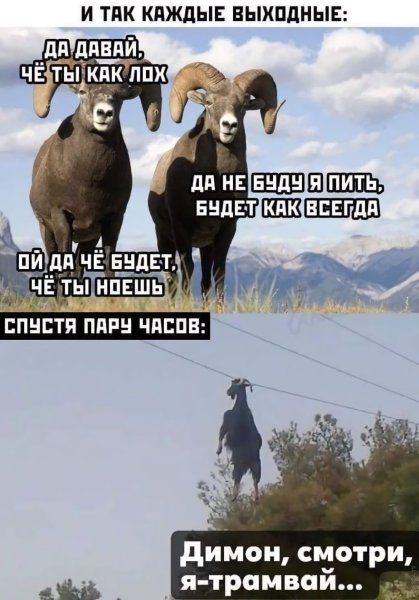 Прикольные шутки