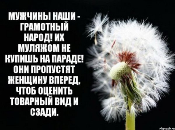 Веселые стихи короткие для поднятия настроения