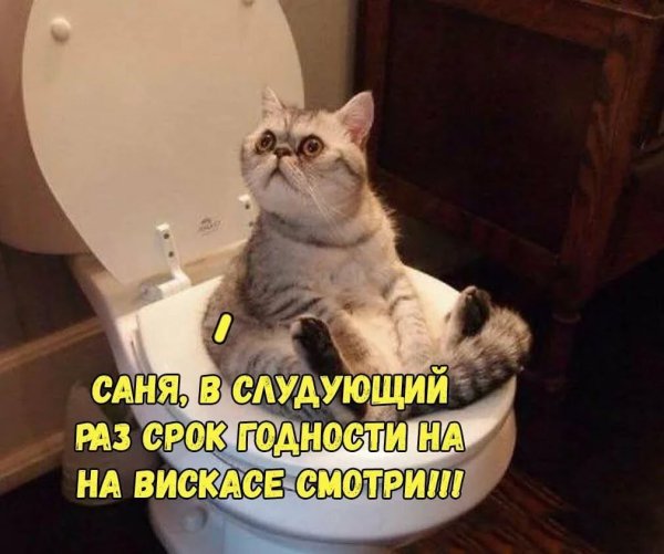 Смешные картинки с надписями