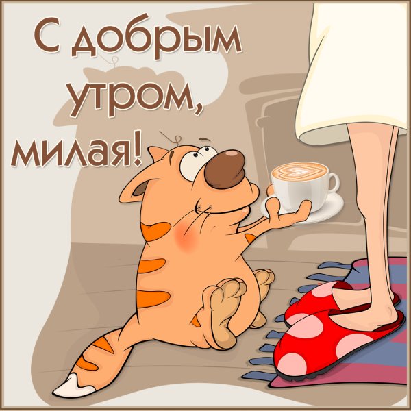 С добрым утром милая
