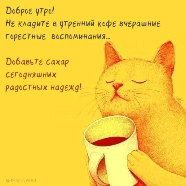 Смешные пожелания с добрым утром