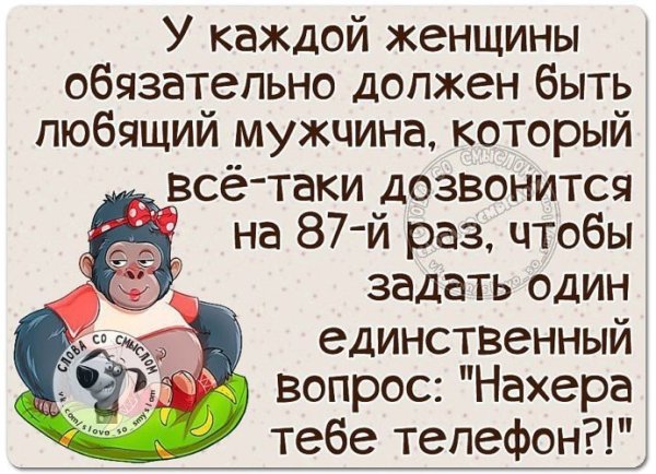 Прикольные статусы для ватсапа