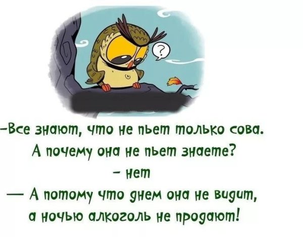 Прикольные афоризмы в картинках