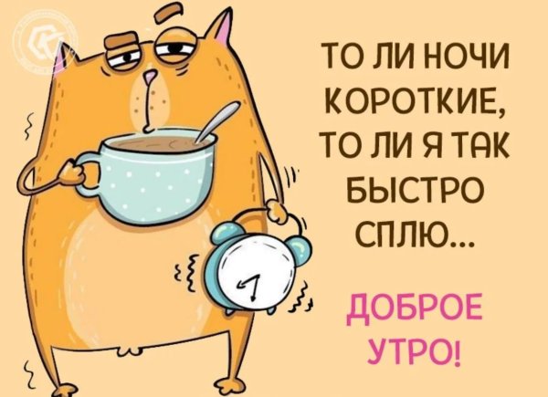 Картинки с добрым утром прикольные смешные