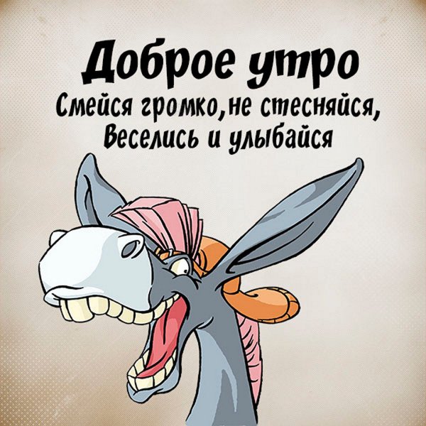 Прикольные открытки
