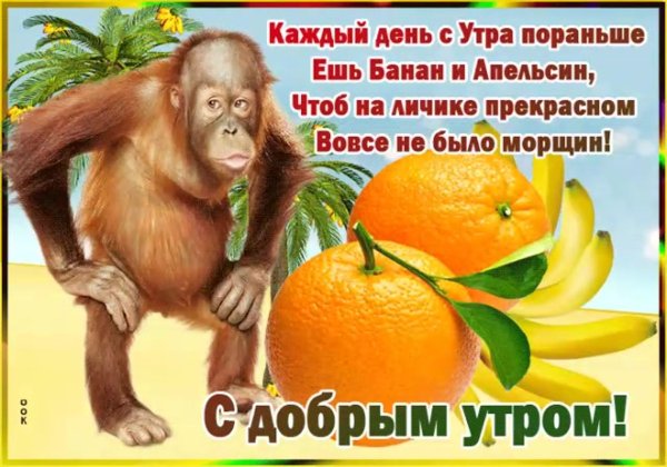 Весёлые поздравления с утра