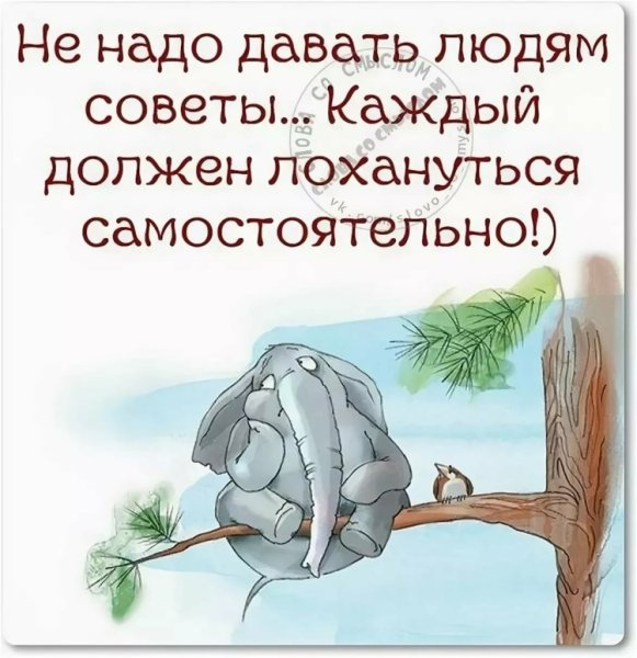 Афоризмы с юмором
