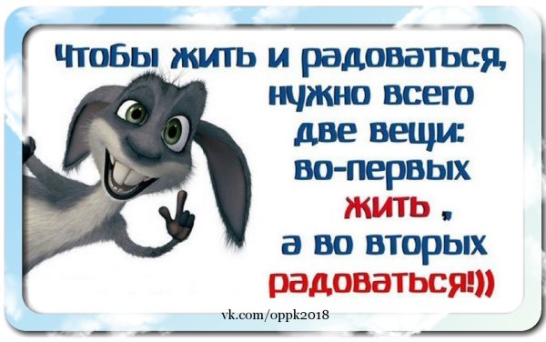 Статусы смешные и прикольные в картинках