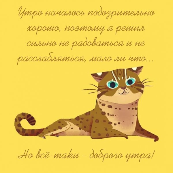 Шуточные пожелания с добрым утром