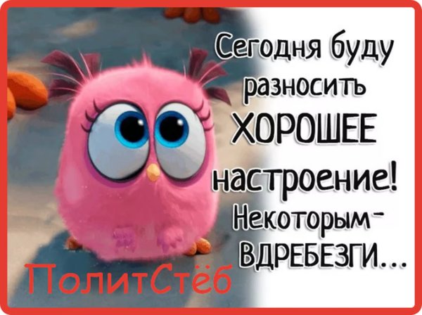 Прикольные статусы в картинках
