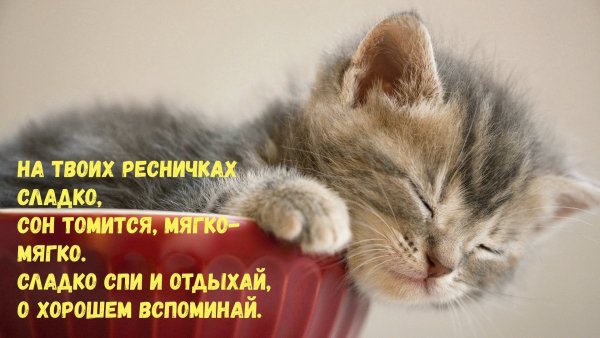 Сладких снов спокойной