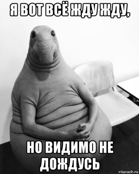 Открытка Ждуна