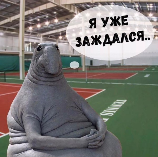 Злой Ждун