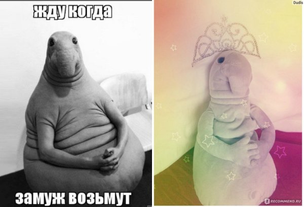 Ждун девочка фото