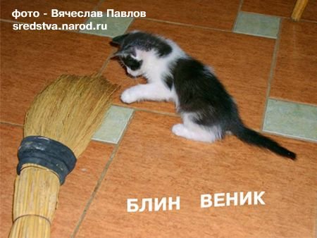 Смешные картинки веника для уборки