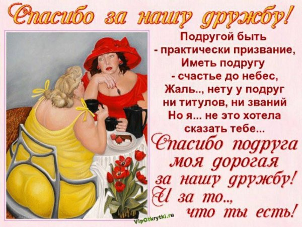 Прикольные поздравления подруге