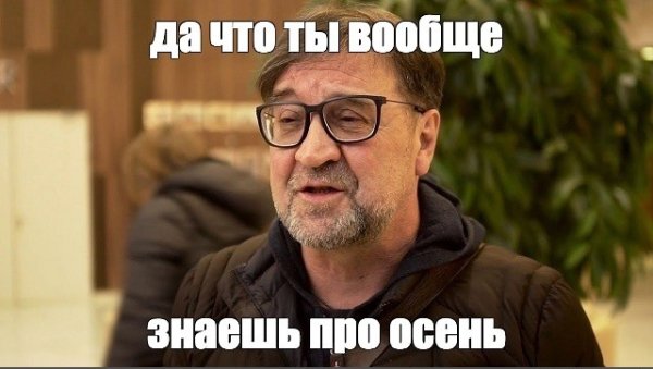 Шевчук осень мемы