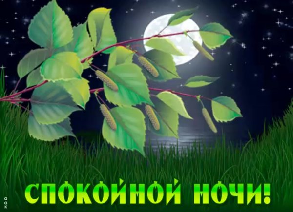 Природа спокойной ночи с пожеланиями