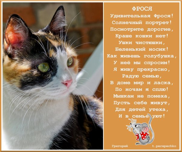 Фрося полное имя