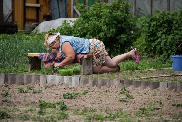 Баба на грядке