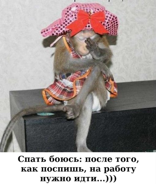 Сижу жду
