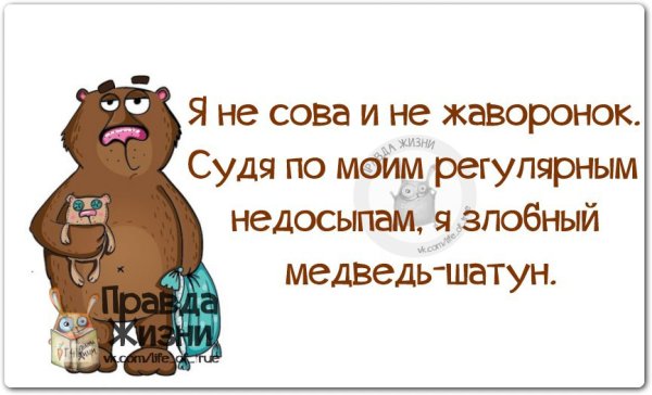 Смешные цитаты с картинками правда жизни