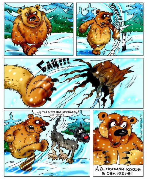 Медведь шатун