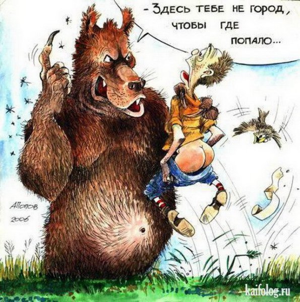 Медведь карикатура