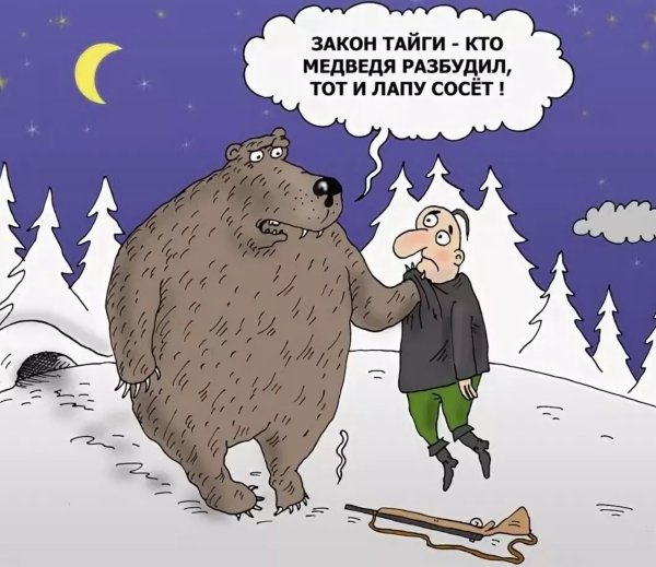 Анекдоты про медведей смешные