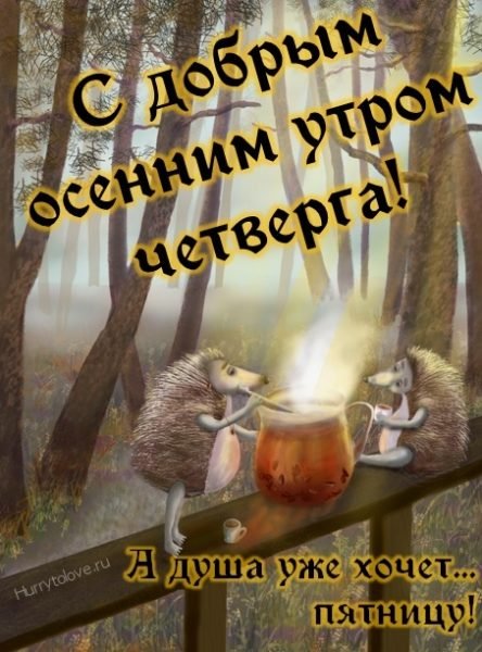С добрым осенним утром четверга