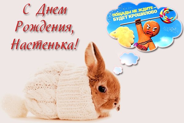 Поздравления с днём рождения Настюша