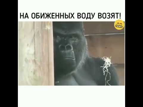 На обиженных