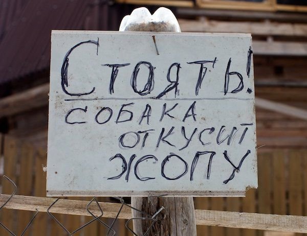 Забавные надписи
