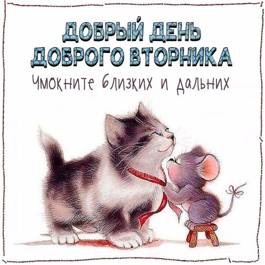 Вторник картинки прикольные