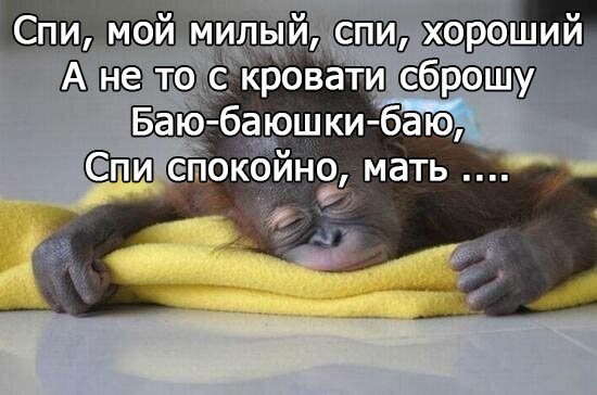 Пожелание спокойной ночи с приколом