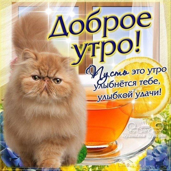 Веселые пожелания доброго утра