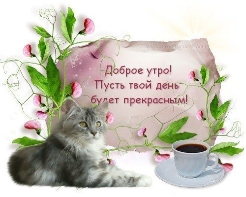 Поздравление с добрым утром