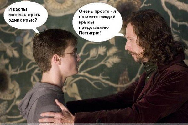 Гарри поттер с надписями на русском языке