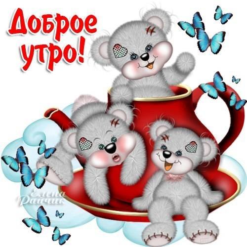 С добрым утром Медвежонок