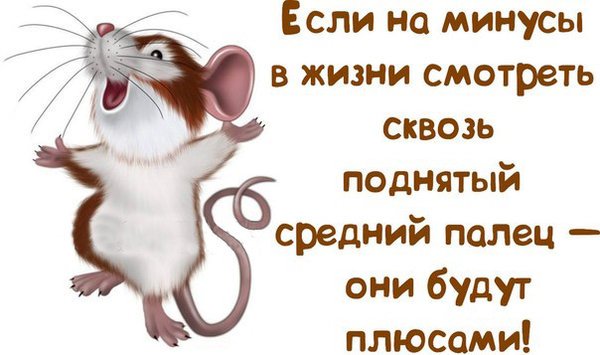 Прикольные фразы для поднятия настроения