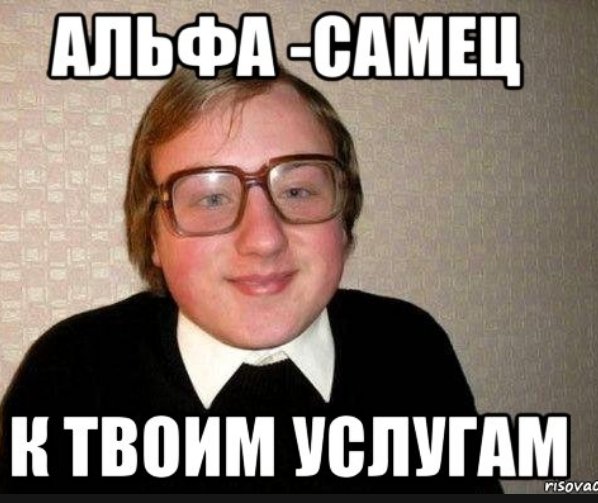 Альфа самец