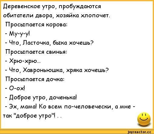 Анекдоты про утро смешные