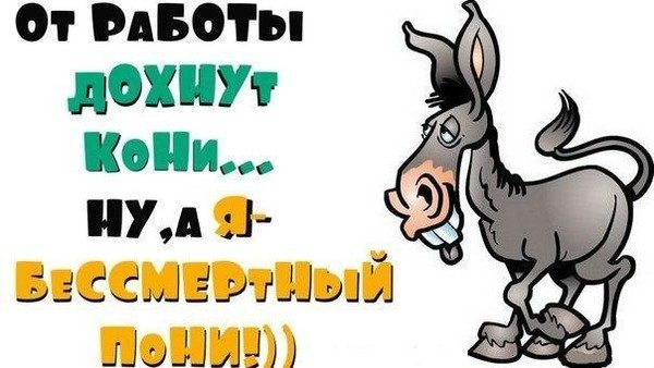 От работы дохнут кони