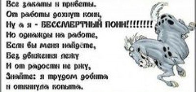 Бессмертный пони стих