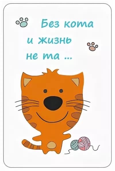 Без кота и жизнь не та