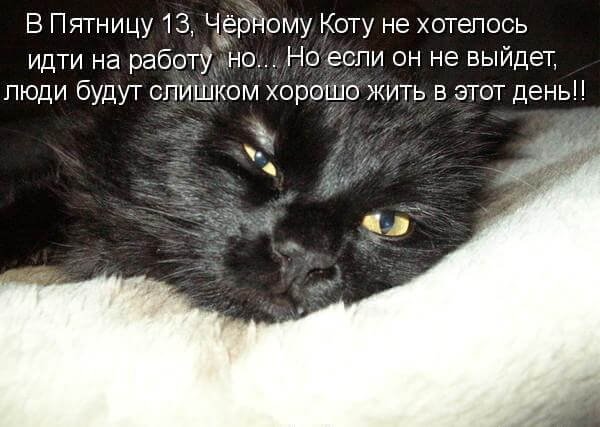 Пятница 13 приколы