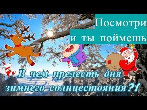 День зимнего солнцестояния приколы