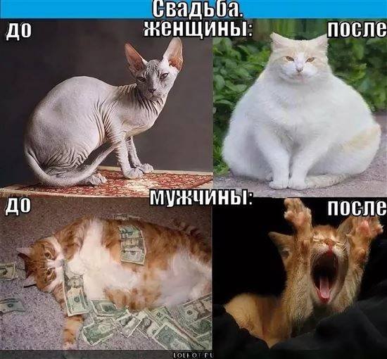 Мужчина до и после свадьбы